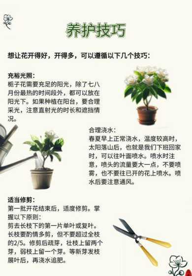 家里盆栽栀子花怎么养 盆栽栀子花怎么养