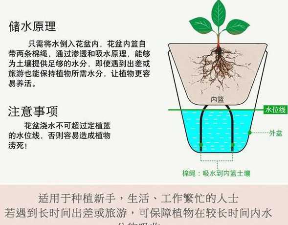 吸水盆种花为什么不长 在高盆里种花的最好方法是套盆吗