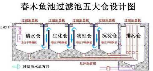 大型鱼池如何过滤系统 大型鱼池用什么样的过滤系统,鱼池需要哪些过滤仓