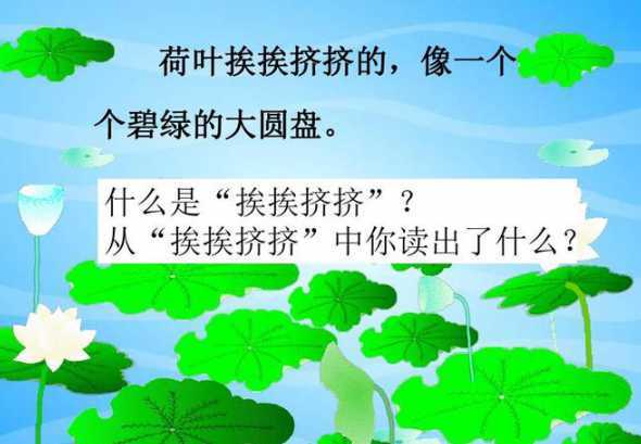 送荷叶寓意是什么意思 荷叶的寓意和象征是什么