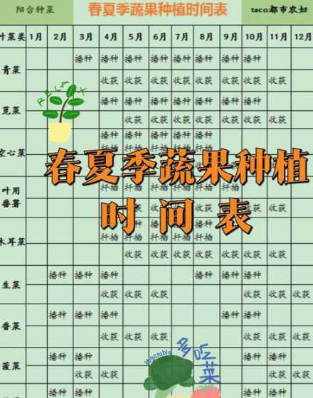 夏天可以种植什么时候 土豆什么时候种最合适夏天可以种植吗