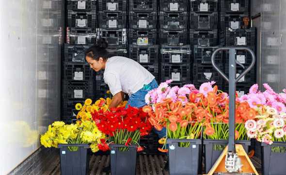 哈尔滨冬天怎么运鲜花 北方的冬天随笔