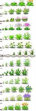 仙人掌种植方法是什么 仙人掌种植方法和注意事项