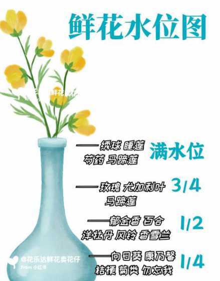 怎么保持花盆排水通畅 花盆底洞用什么堵不漏土还排水好