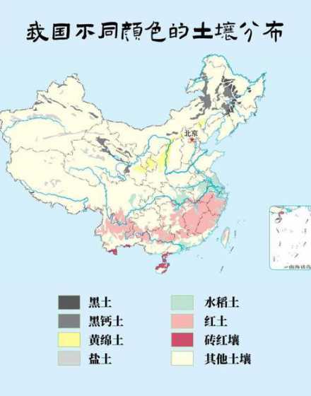 金枝对土壤有什么要求 金枝玉叶花的养殖方法和注意事项是什么