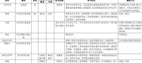 多肉种植什么时候浇水 种植多肉什么时候给它浇水最好白天中午还是晚上