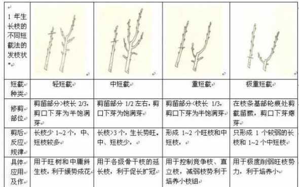 盆栽果树什么时候修剪 水果盆栽什么时候修剪好果树移栽适合什么时候剪枝