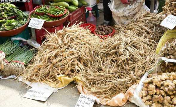 皂角收购价多少钱一斤 皂角刺多少钱一斤求大神帮助