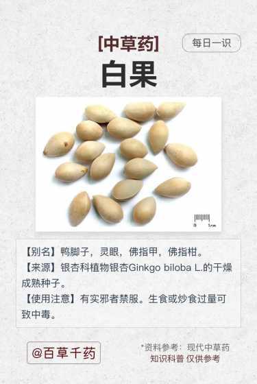 生白果分类属于什么类 什么是坚果类食物