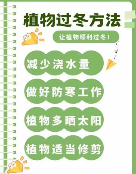 养花冬天怎么保持温度 在家养花该怎么解决温度过低的问题