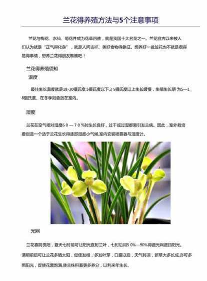 盆栽兰花怎么养殖方法 兰花的养殖方法和注意事项 盆栽