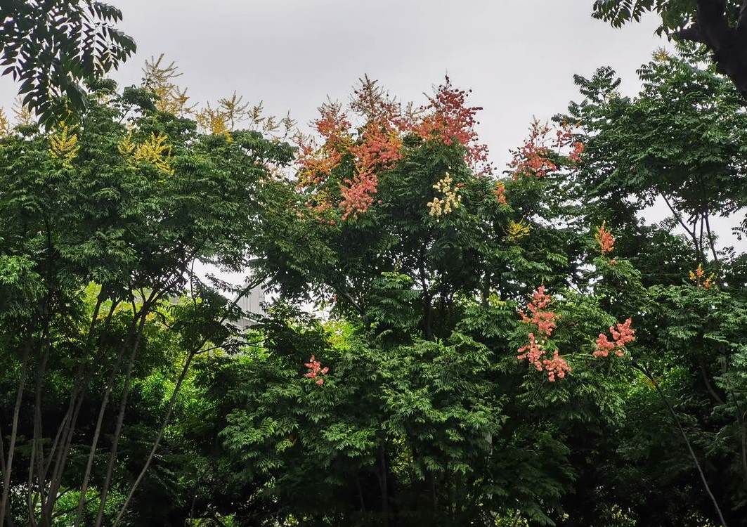 花卉市场的花从哪里进货 花卉零售利润一般是多少