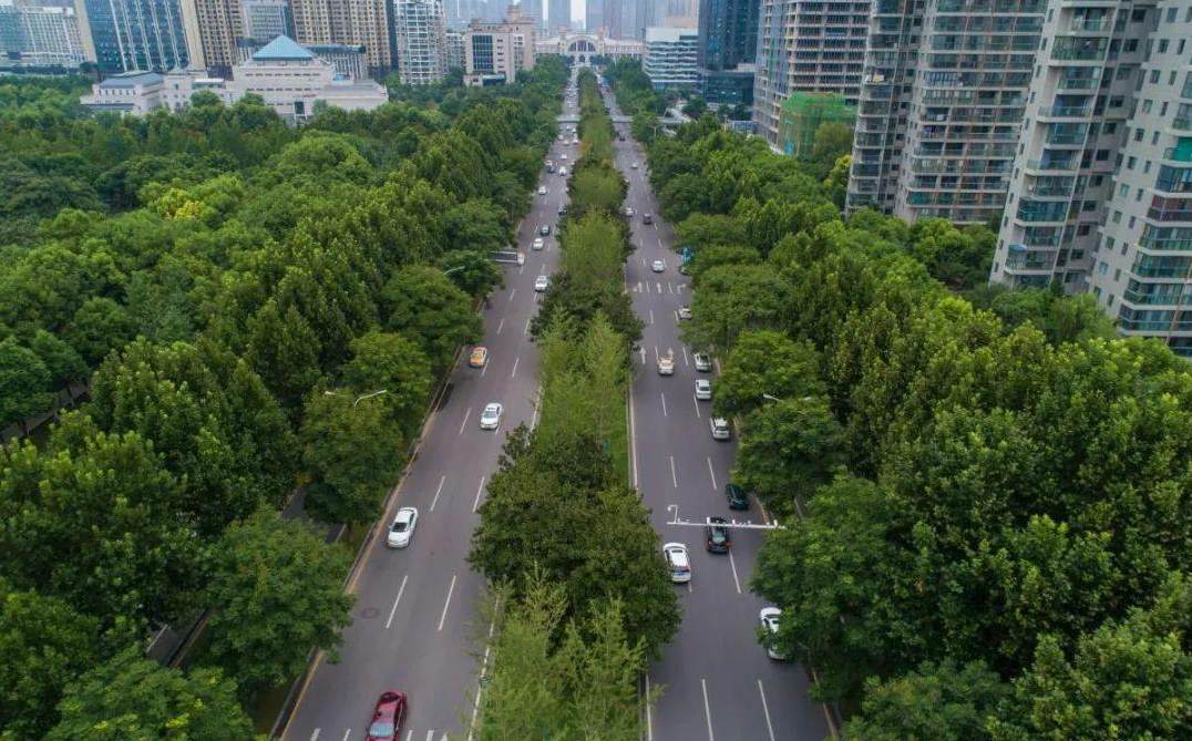 景观的三要素是基质斑块廊道 景观生态学景观三要素