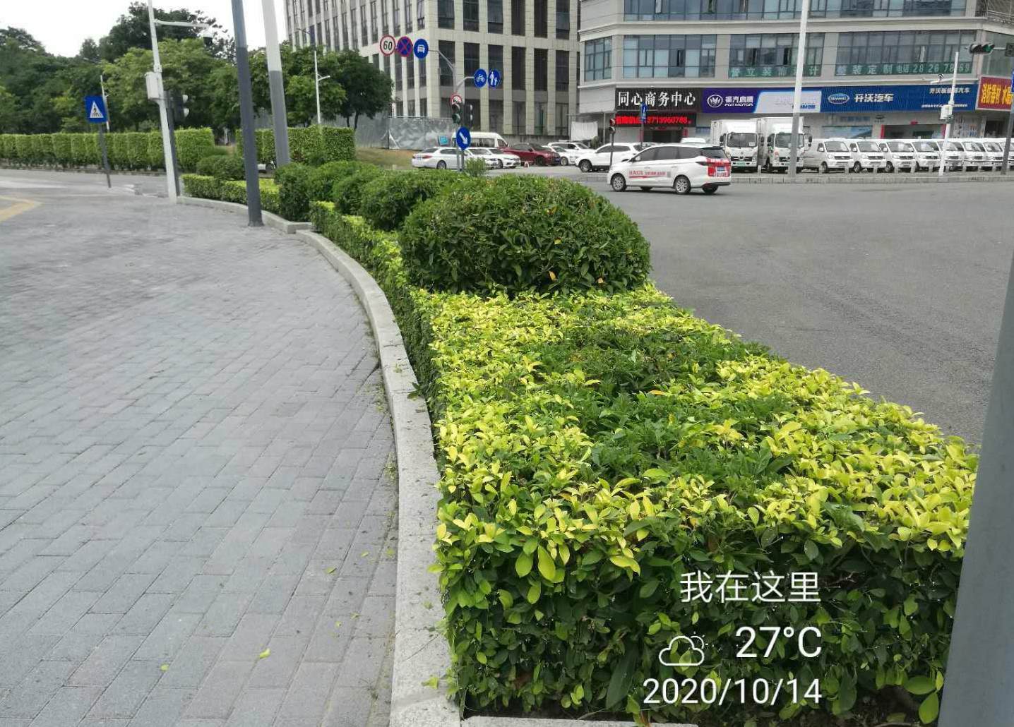 睡莲用田园土种植可以吗 栽睡莲用多少泥土比较好