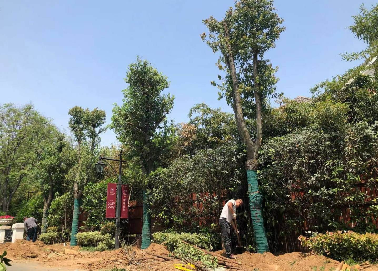 花艺师去哪里找工作 离我最近的花卉基地