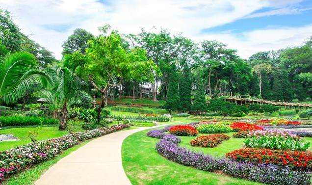 济南附近花卉种植基地 河南新乡辣椒种植基地